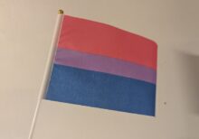 Biseksuell prideflagg, håndflagg 14x21 cm