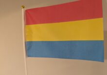 Panseksuell prideflagg, håndflagg 14x21 cm