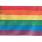 Prideflagg håndflagg, 14x21 cm med stang