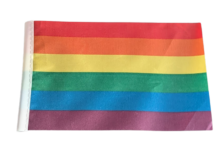 Prideflagg håndflagg, 14x21 cm med stang