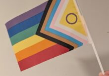 Nytt Progressivt prideflagg, 14x21 cm håndflagg