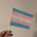 Trans prideflagg, håndflagg 14x21cm