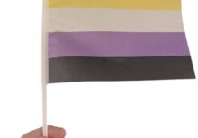 Ikke-binært prideflagg i størrelsen 14x21cm. Håndflagg.