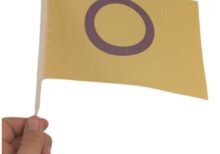 Intersex håndflagg i størrelsen 14x21 cm.