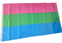 Det polyseksuelle flagget i størrelsen 90x150 cm.