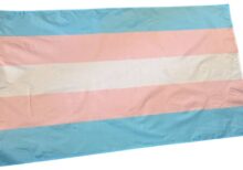 Transgender flagg i fargene lys blå og rosa.