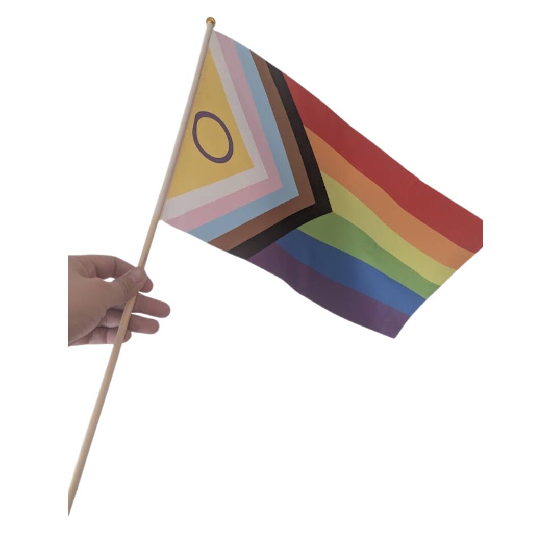 Vaiende Intersex Progress prideflagg i størrelsen 30x45 cm. Et vakkert håndflagg.