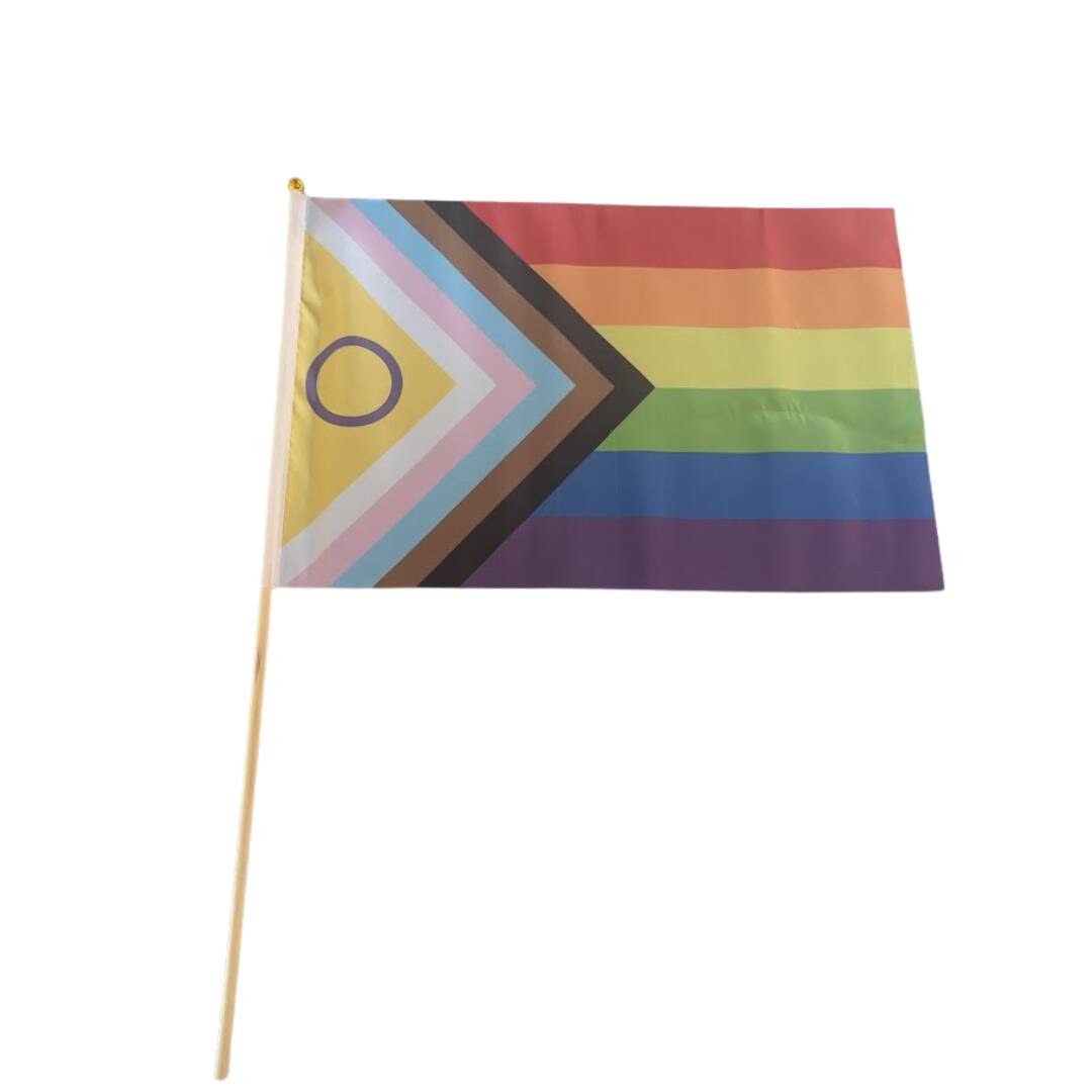 30x45 cm Intersex Progress prideflagg. Et flagg som prøver å representere det mest innen LHBTQIA+-miljøet.