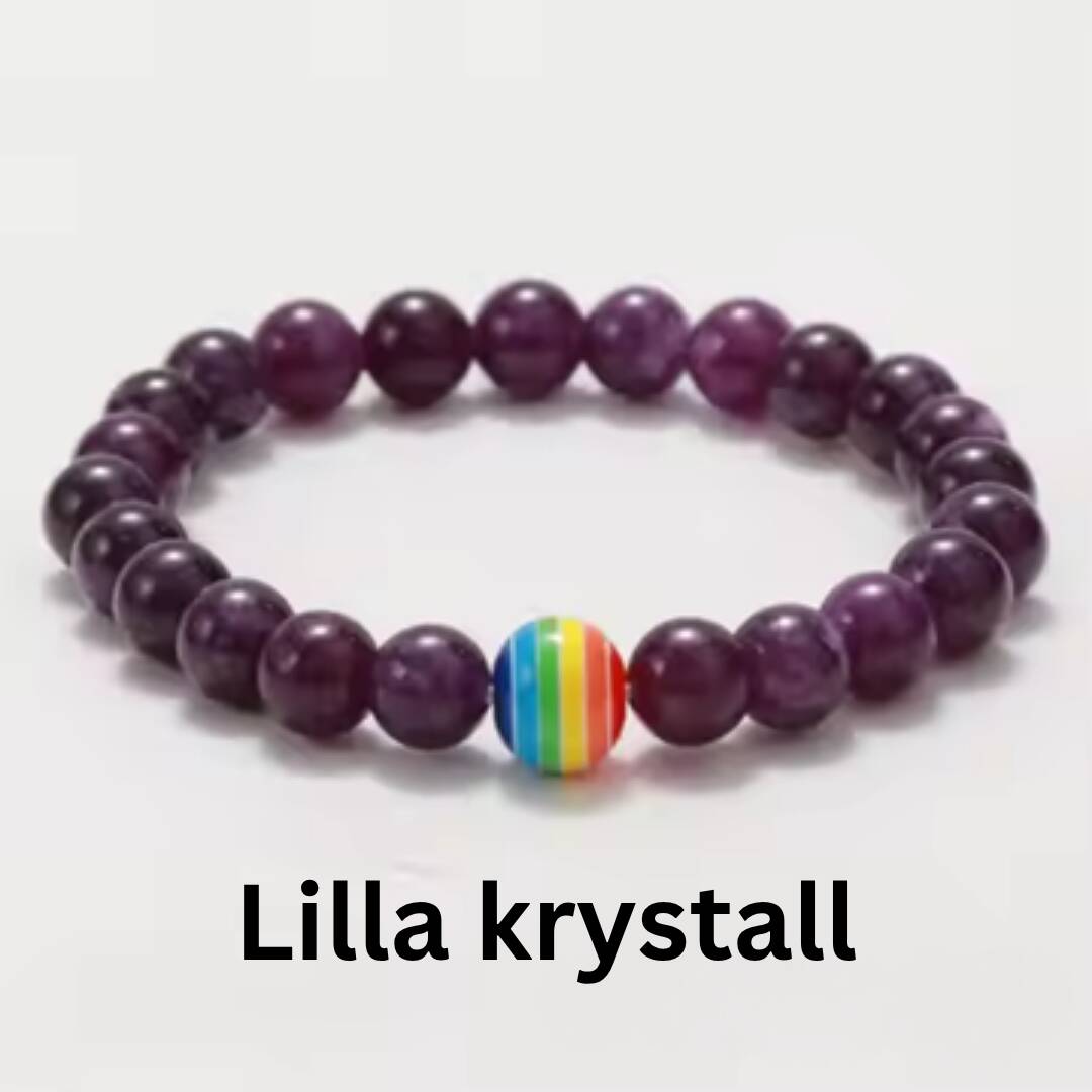 Nydelig lilla krystall pride-armbånd.