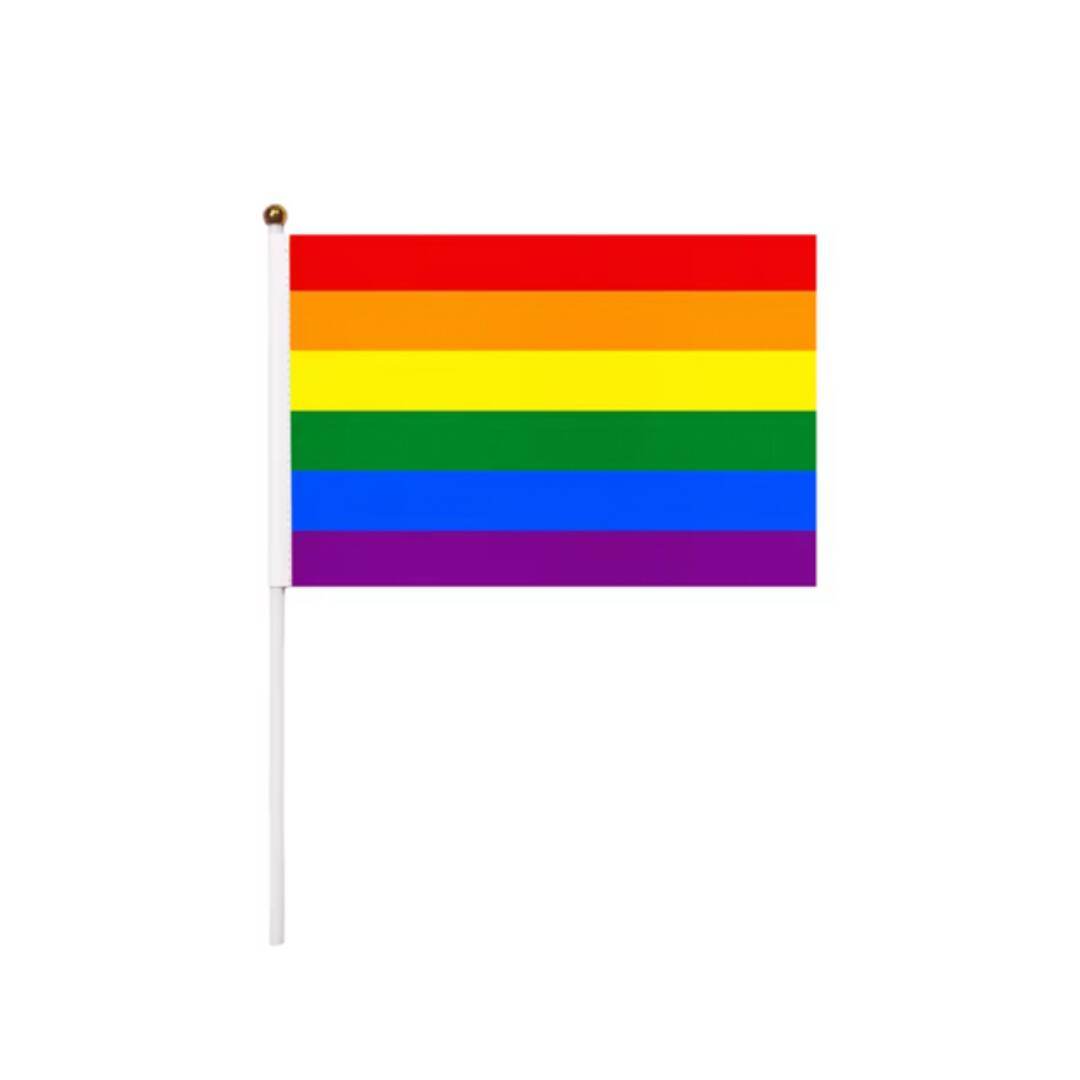 Prideflagg håndflagg, 14×21 cm med stang