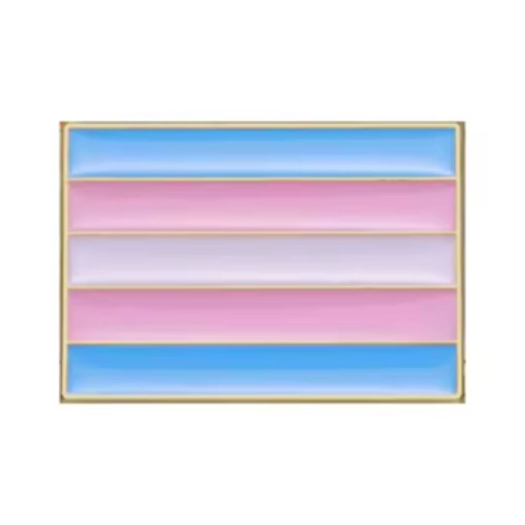 En fin transflagg pin.
