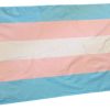 Transgender flagg i fargene lys blå og rosa.