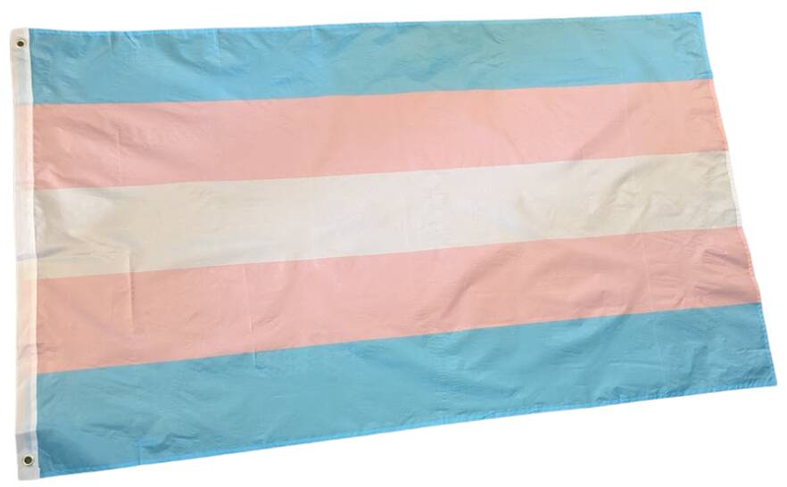 Transgender flagg i fargene lys blå og rosa.