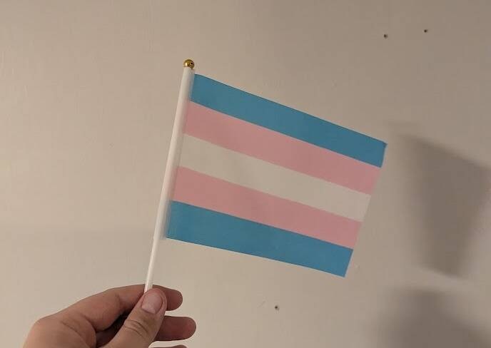 Transseksuell flagg hånd