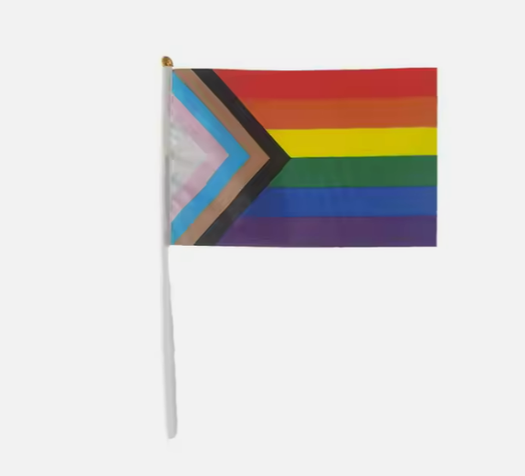 pride-flagg-14x21cm Progressivt regnbueflagg