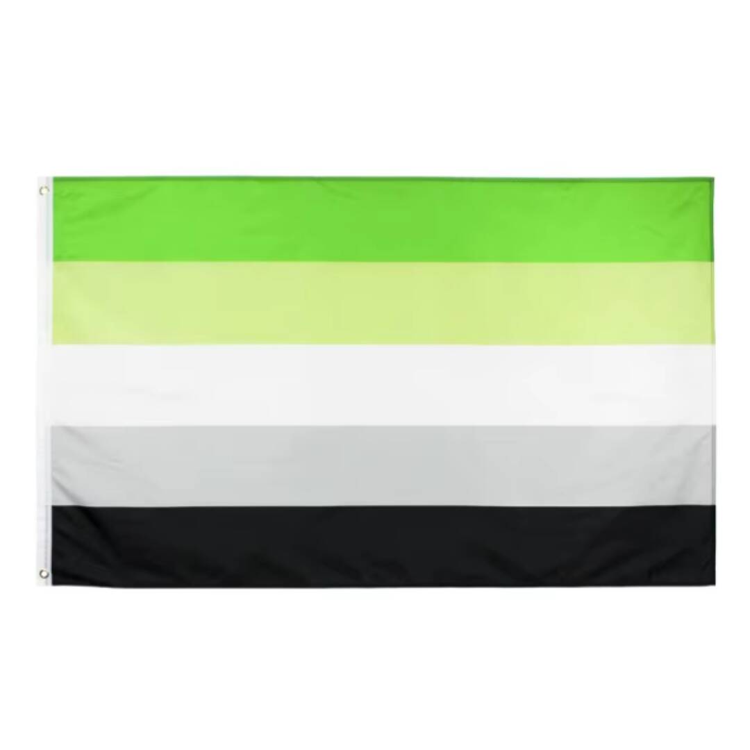 Aromantisk prideflagg 90x150 cm.